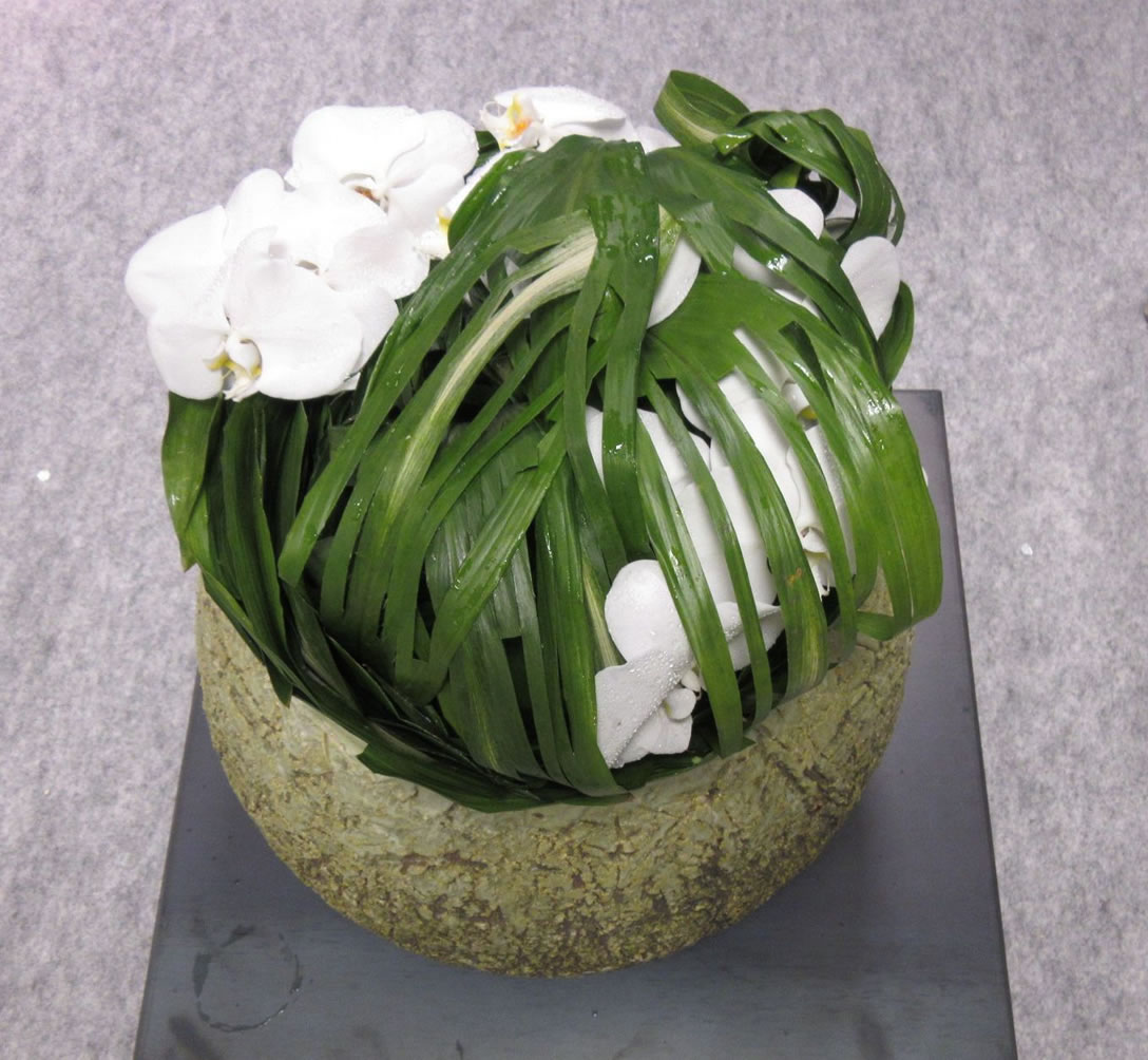 2017年堀星峰作品